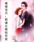 暖婚宝贝:霸道总裁轻狂爱