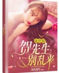 总裁大人别过来