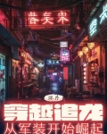 港综:穿越追龙,从军装开始崛起
