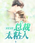 承爱无度：总裁太粘人