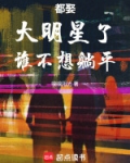 娶很多女明星的小说
