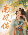 南风佑小说