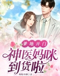 爹地开门:神医妈咪到货啦