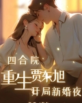 四合院:重生贾东旭,开局新婚夜