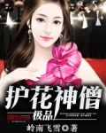 极品护花神医在都市