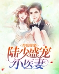 替嫁暖婚：陆少盛宠小医妻