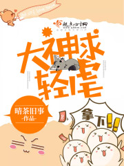 轻尘大神百科