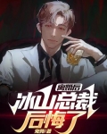 离婚后,冰山总裁后悔了