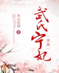 武氏宁妃(康熙)