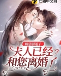 顾总别追了,夫人已经和您离婚了 四季欢