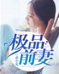 极品前妻
