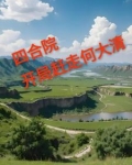 四合院傻柱逆袭了作者:生活的累