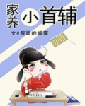 家养小首辅