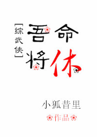 [综武侠]吾命将休 小说