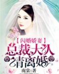 闪婚甜妻总裁大人请息怒