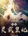 网游:灵武皇妃