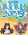 网游之氪金氪到小奶狗