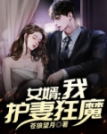 女婿:我,护妻狂魔