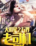 大明星之万界老司机小说