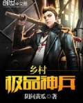 极品乡村高手全文阅读