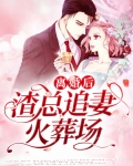 离婚后,渣总追妻火葬场