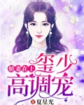 娇妻在上:玺少,高调宠
