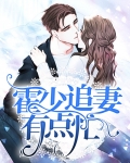霍少追妻有点忙
