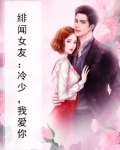 小说绯闻女友