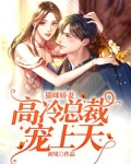 猫咪娇妻:高冷总裁宠上天