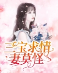 三宝求情妻莫怪
