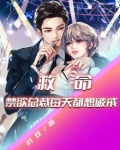 禁欲总裁,太能干