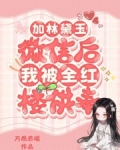 加林黛玉微信后,我被全红楼供奉