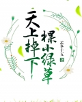 天上掉下棵小绿草