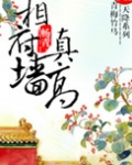相府墙真高TXT