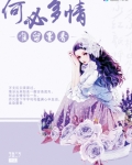 何必多情小说