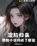 流放归来,替嫁小可怜成了团宠 青橘柠檬茶