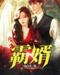 霸婿战尊100集在线观看免费