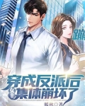 穿成反派后,女主集体崩坏了