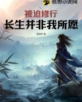 被迫修道的那些年 小说