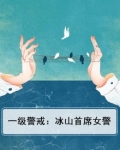 一级警戒 小说