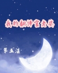 我的翻译官老婆