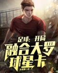 足球:开局融合大罗球星卡