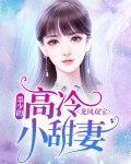 龙凤双宝:墨少的高冷小甜妻