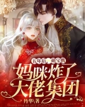 五年后萌宝携妈咪炸了大佬集团作者蛋黄