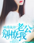 霸爱前妻:老公别撩我