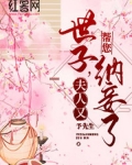 世子,夫人又帮您纳妾了