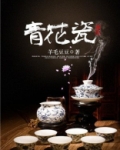 镇宅青花瓷