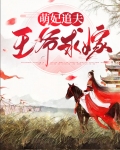 萌妃追夫:王爷求嫁