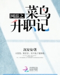 网游之菜鸟升职记男变女