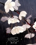 大师兄